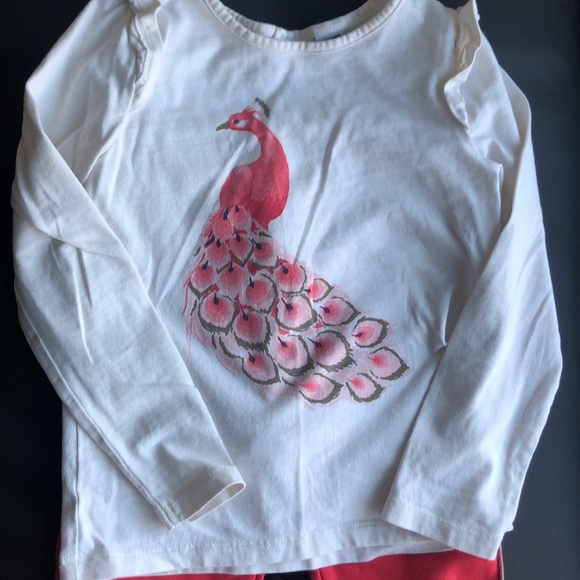 LIKE NEW Janie & Jack Peacock Ruffle Tee w/Matching Pants - Picture 2 of 7